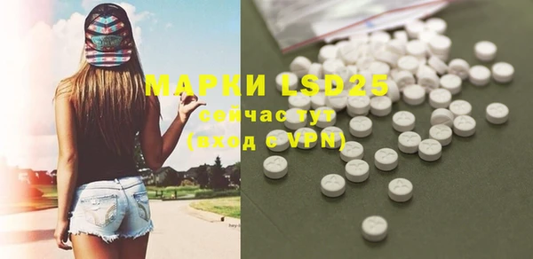 ГАЛЛЮЦИНОГЕННЫЕ ГРИБЫ Инта