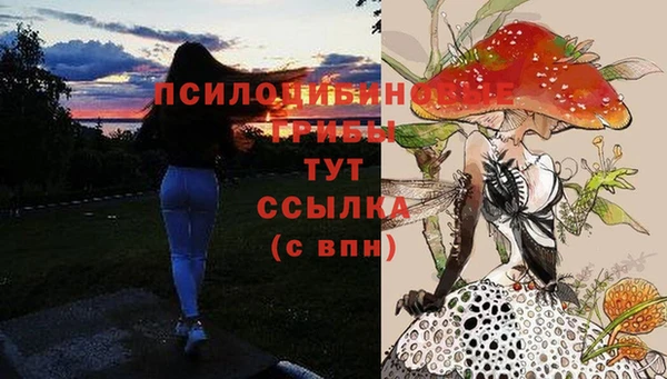стаф Инсар