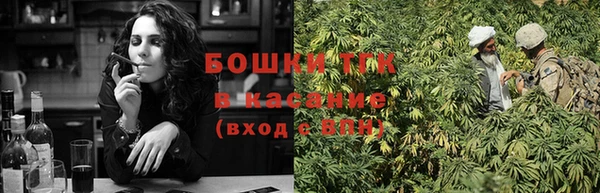 стаф Инсар