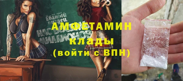 ГАЛЛЮЦИНОГЕННЫЕ ГРИБЫ Инта