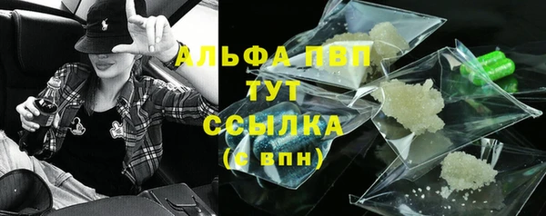 стаф Инсар