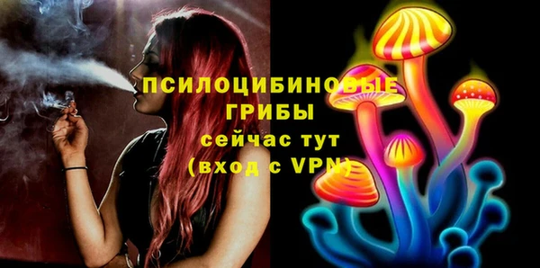 стаф Инсар