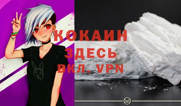ГАЛЛЮЦИНОГЕННЫЕ ГРИБЫ Инта