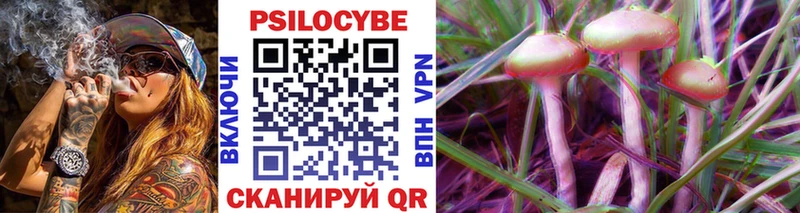 Купить закладки  Куйбышев  Псилоцибиновые грибы MAGIC MUSHROOMS 